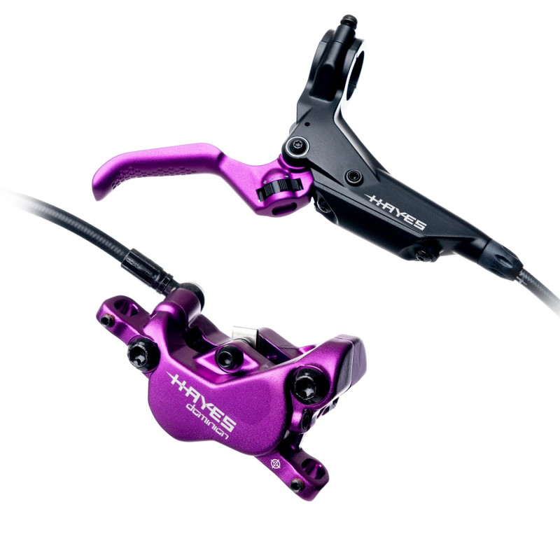 Brake HAYES Dominion A4 | black-purple | limited edition