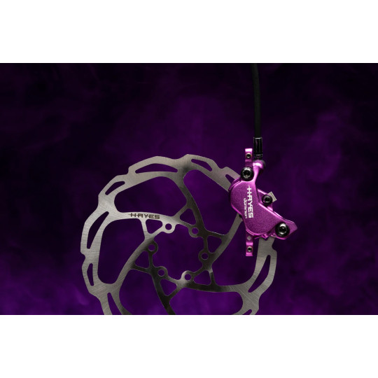 Brake HAYES Dominion A4 | black-purple | limited edition