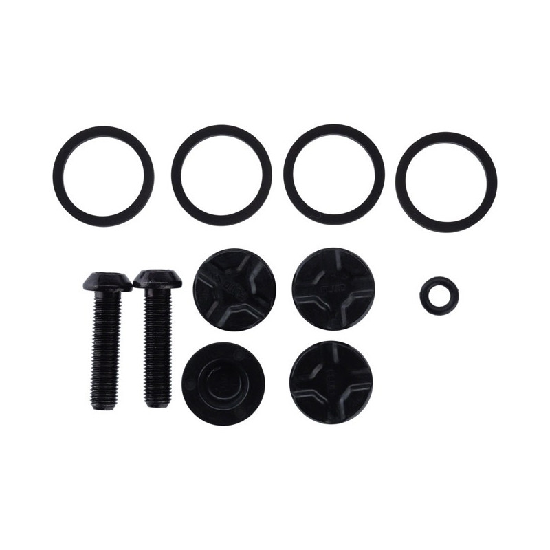 Set of pistons and brake caliper seals HAYES Dominion A4