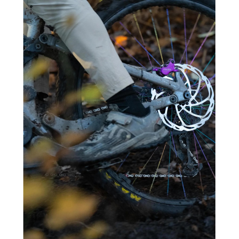 Disc brake HAYES Dominion A4, black-purple, limited edition