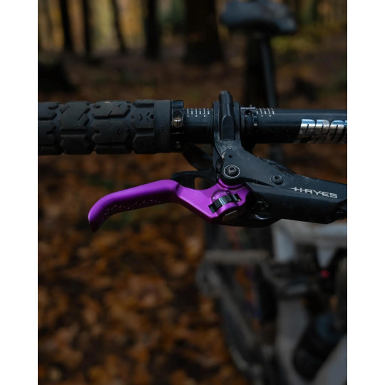 Disc brake HAYES Dominion A4, black-purple, limited edition